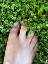 HappyDirtyHippieFeet u413911026 OnlyFans