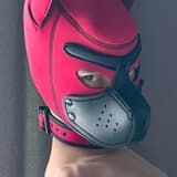 pupMikle pupmikle OnlyFans