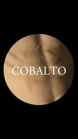 cobalto cobalto OnlyFans