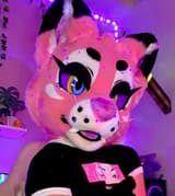 Kira Kitty kirakittyxxx OnlyFans