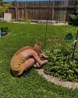 who is she? chaoticmusefree OnlyFans