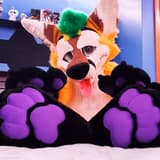 Pineapple Fox thepineapplefox OnlyFans