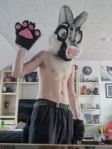 Alto altowolf OnlyFans