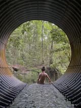 bugs bugssssssss233 OnlyFans