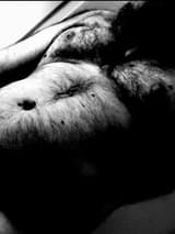 Chibi Chewbacca chibichewie_free OnlyFans