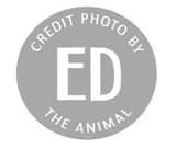 Ed The Animal edtheanimal OnlyFans