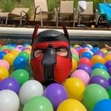 Pup_Cerberus pup_cerberus OnlyFans