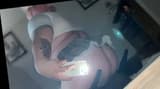 Zoey Stich athlennette6 OnlyFans