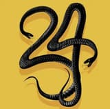 CULT 24 cult24 OnlyFans