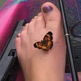 Nothing but Feet southern_foot OnlyFans