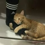 Lkrush lkrushfeet OnlyFans