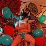 Ami Bluefox amibluefox OnlyFans