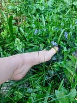 Sylvan Siren u419918507 OnlyFans